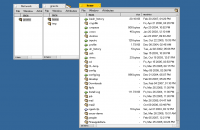 NetFS running in BeOS R5