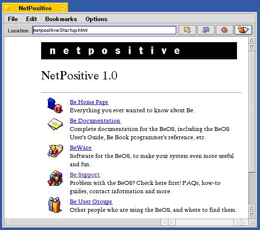 図 NetPositive