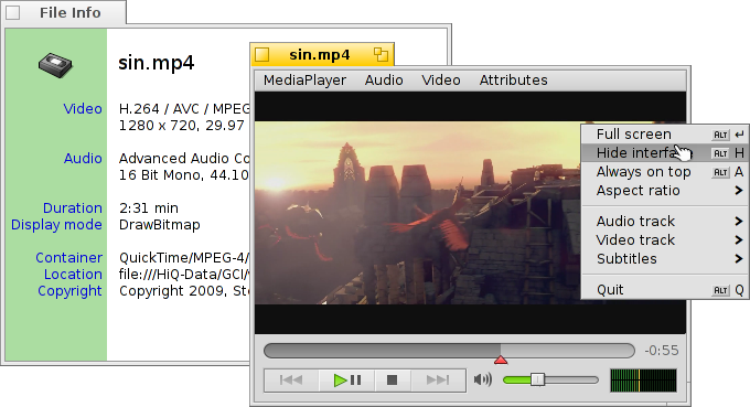 .srt media player